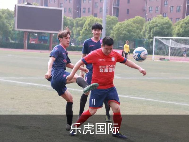 关于乐虎国际